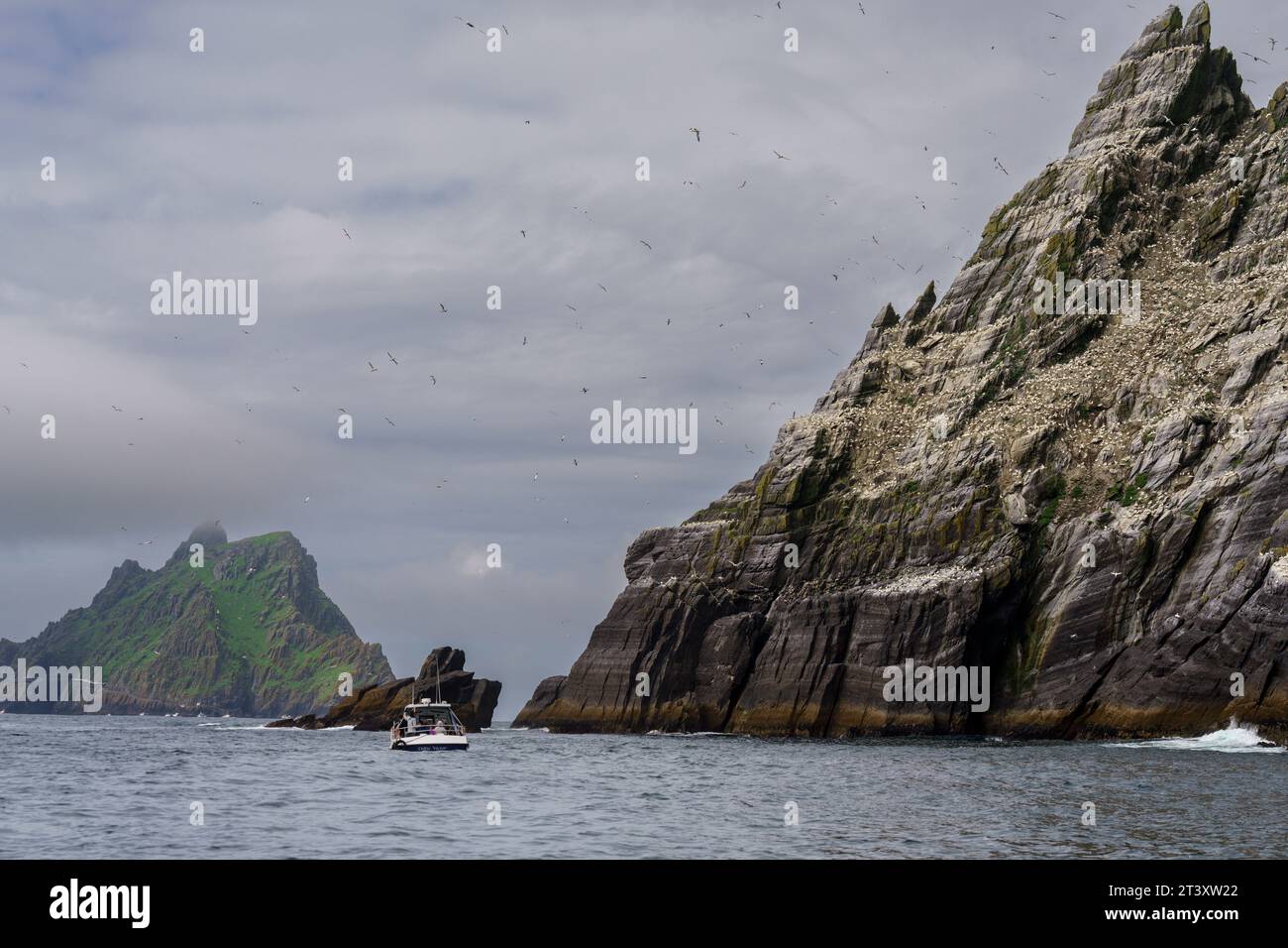 Sceilg Bheag , Skellig Rock Small, Irlande, Royaume-Uni. Banque D'Images