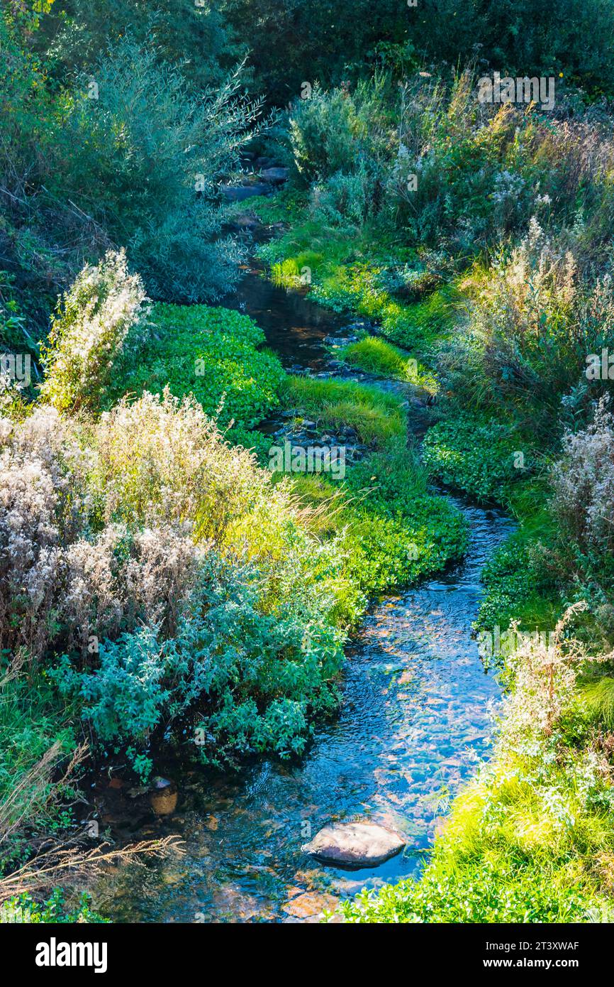 Les eaux cristallines du ruisseau Lebanza avant de se jeter dans la rivière Pisuerga qui traverse le village. San Salvador de Cantamuda, la Pern Banque D'Images