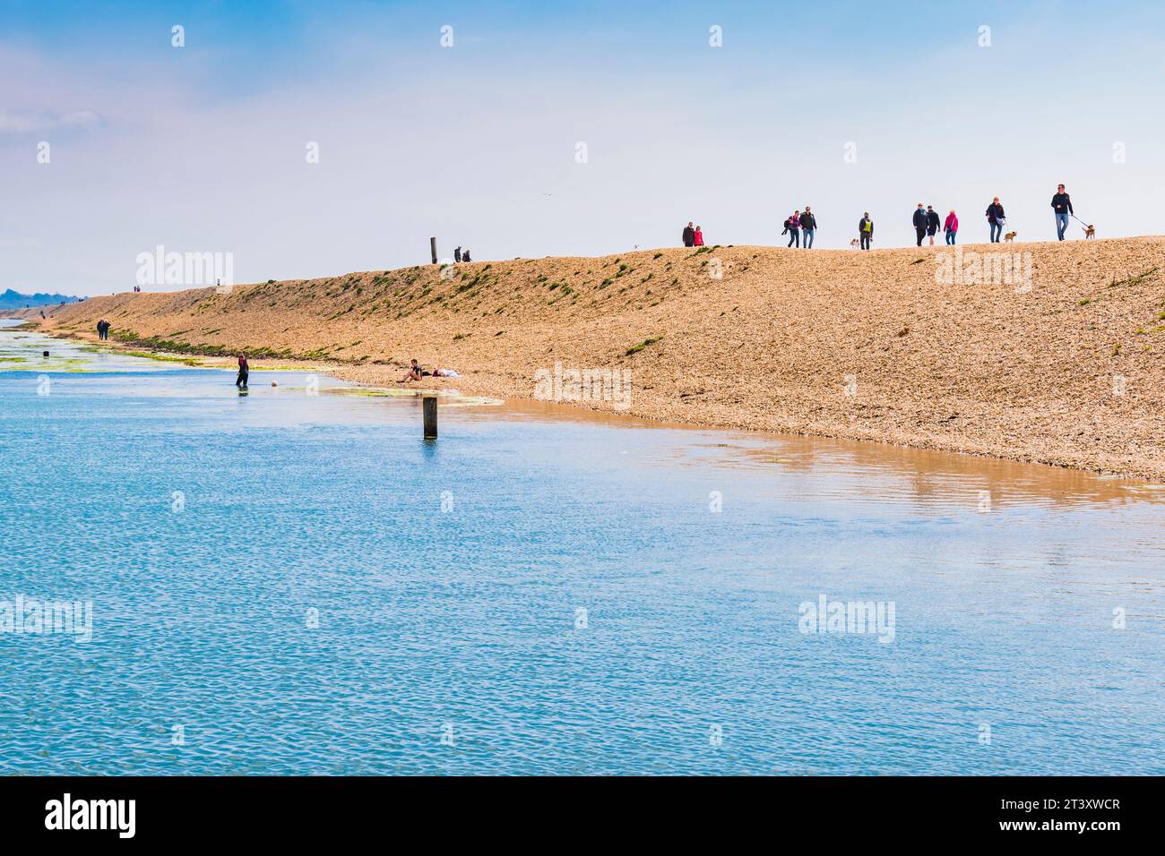 Sentier à côté de Sturt Pond. Milford on Sea, New Forest, Hampshire, Angleterre, Royaume-Uni, Europe Banque D'Images