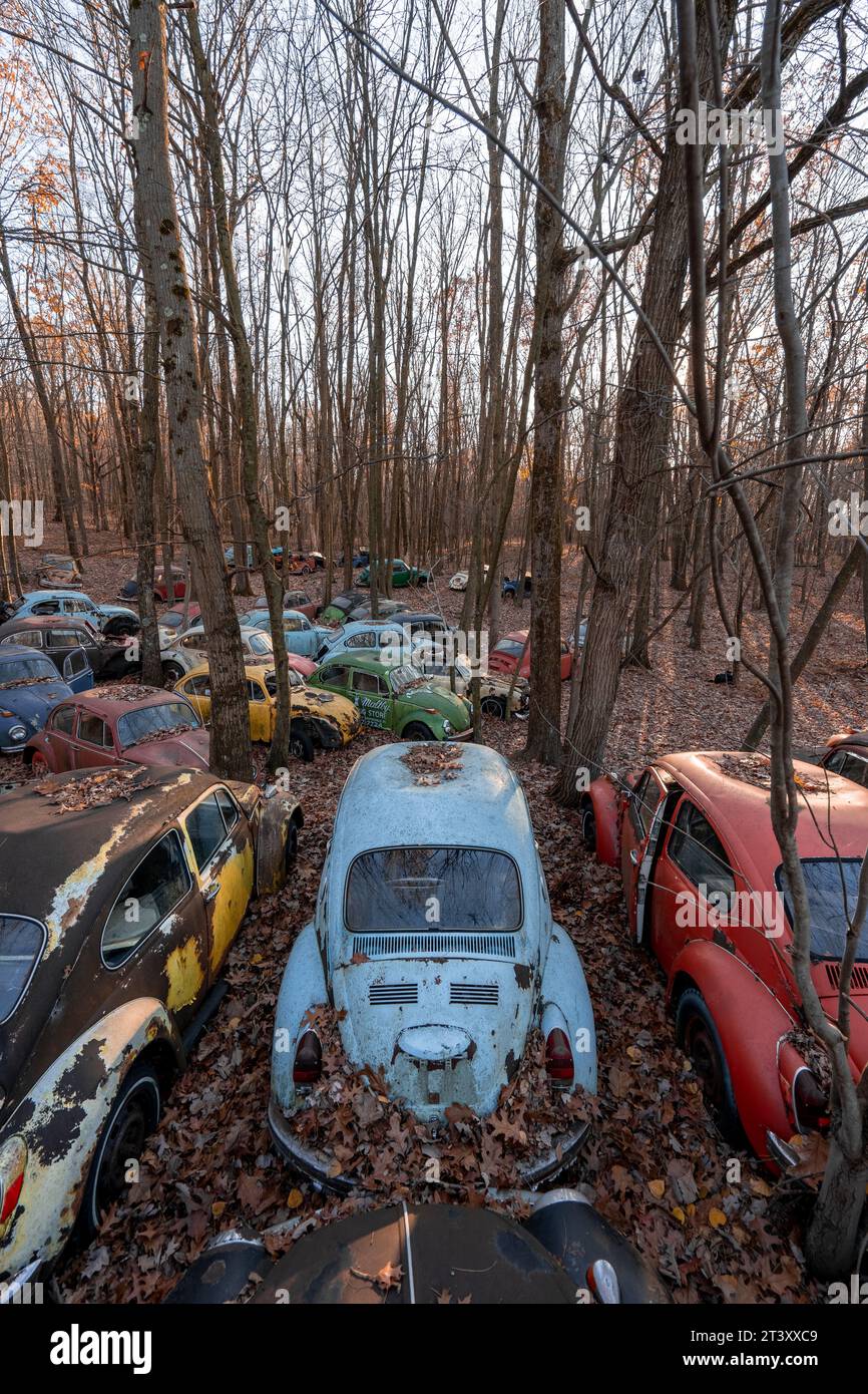 Voitures allemandes abandonnées à PENNSLYVANIA CE MYSTÉRIEUX cimetière est rempli de plus DE DEUX CENTS voitures Volkswagen de plus d'un demi-siècle, y compris la Banque D'Images
