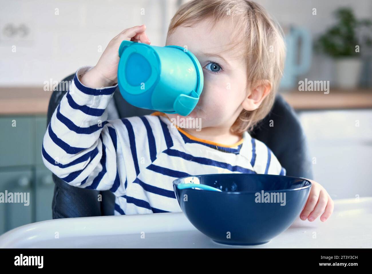 Une fille affamée d'un an dans des vêtements décontractés rayés s'assoit à la table blanche dans une chaise haute, boit de l'eau du biberon, tasse à bec. Bac de salle à manger flou Banque D'Images