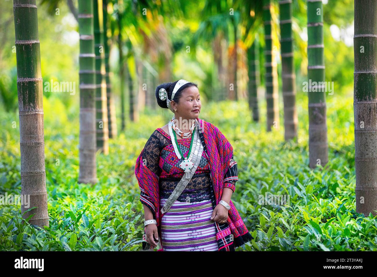 Femme de la tribu Adi en vêtements adi traditionnels posant au milieu de la plantation de thé, entourée de palmiers Assam dans le nord-est de l'Inde Banque D'Images
