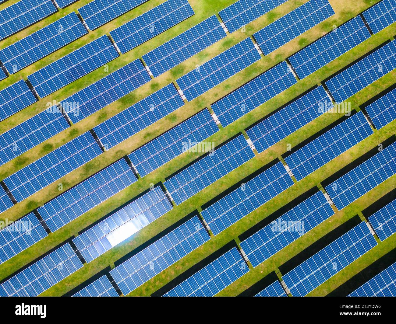 Vue de dessus des rangées de centrales solaires au coucher du soleil dans l'herbe verte. Ferme produisant de l'énergie électrique propre à partir de ressources renouvelables. Banque D'Images