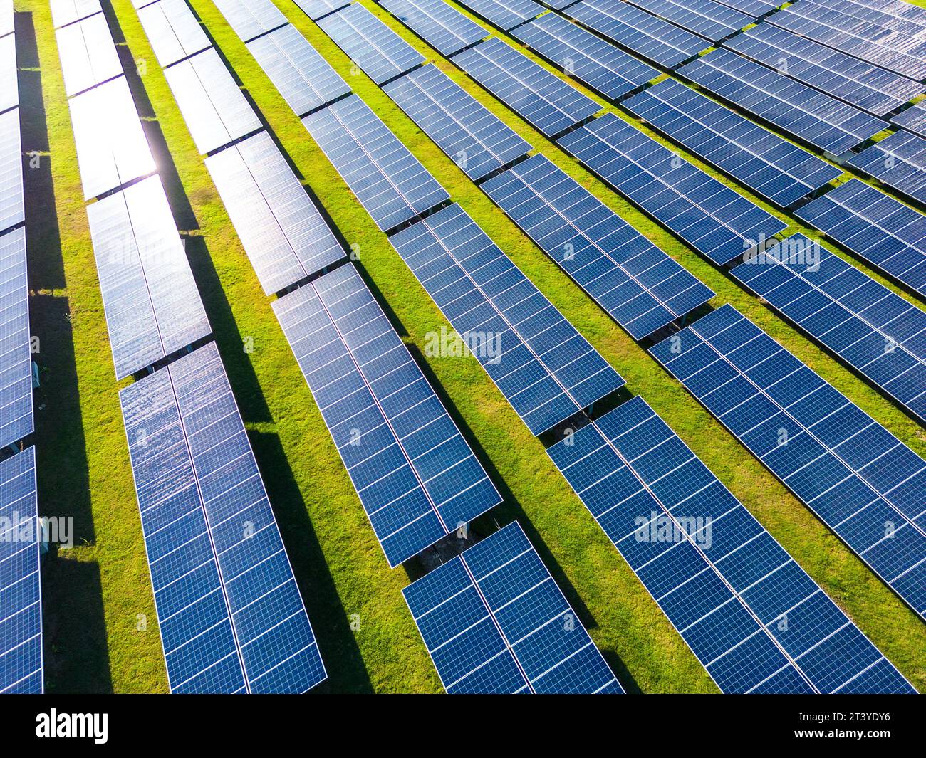 La centrale solaire se range au coucher du soleil dans l'herbe verte. Ferme produisant de l'énergie électrique propre à partir de ressources renouvelables. Banque D'Images