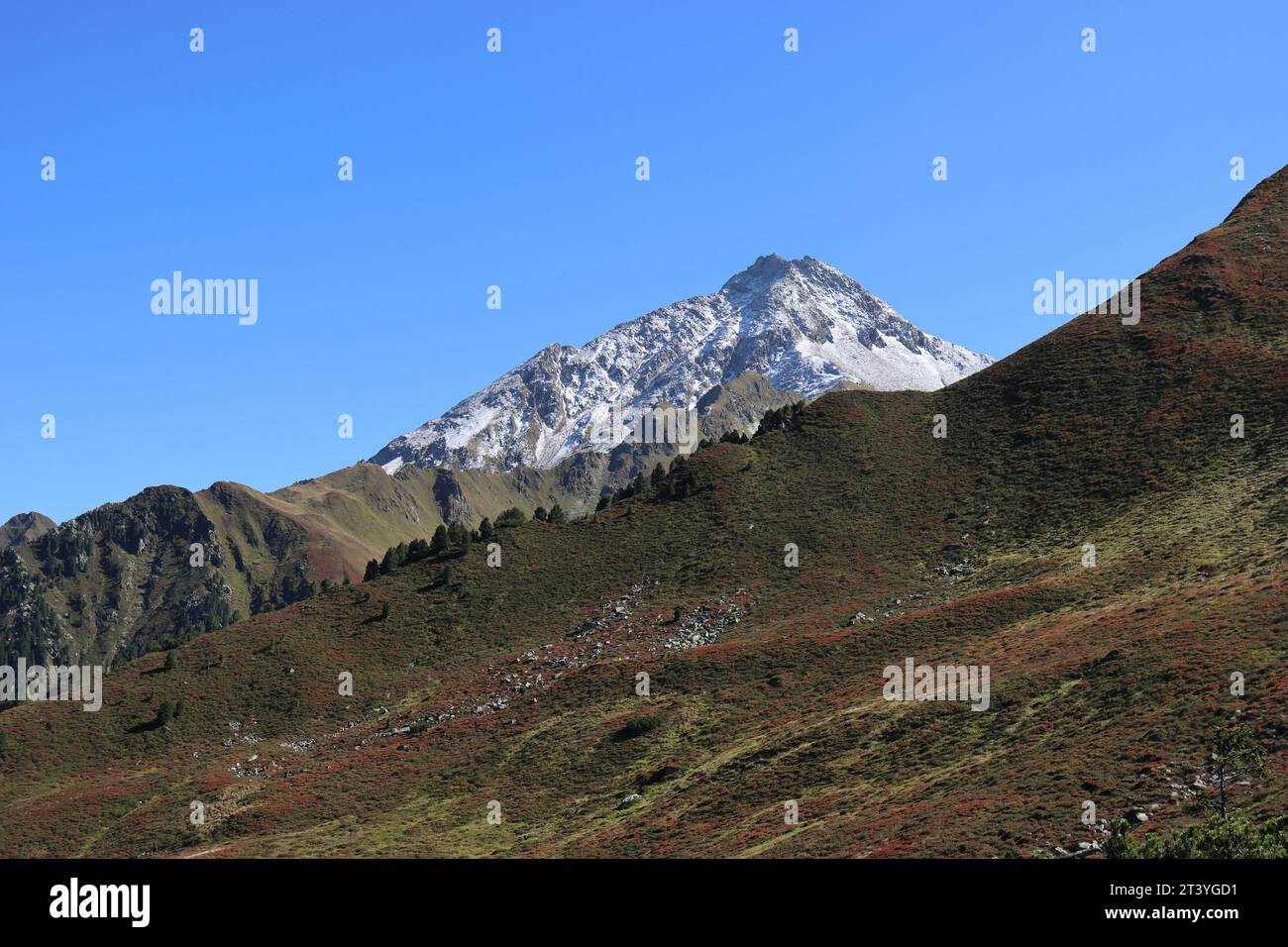 Belle vue sur l'Ahornspitze couverte de neige fine, Tyrol, Mayrhofen Banque D'Images