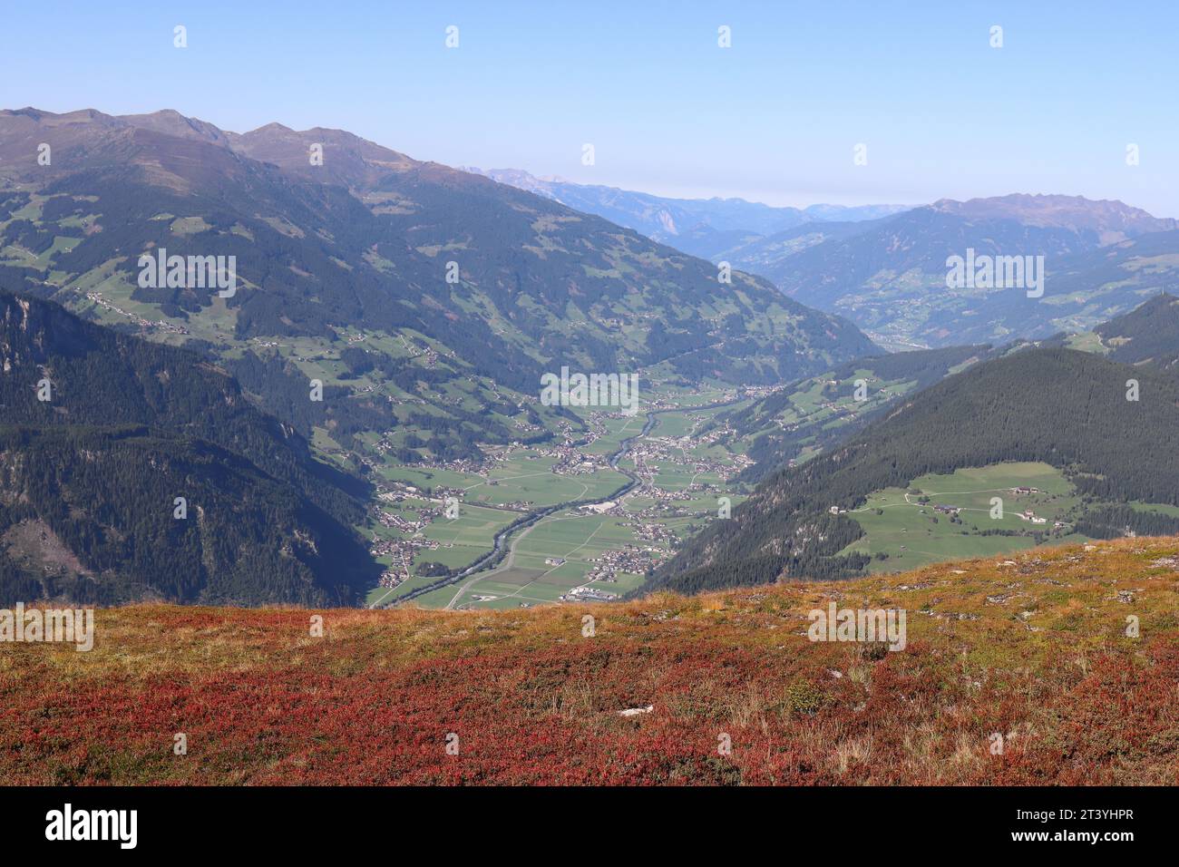 Vue large de la montagne Filzenkogel profondément dans le Zillertal avec de beaux buissons de myrtilles rouge rouille au premier plan Banque D'Images