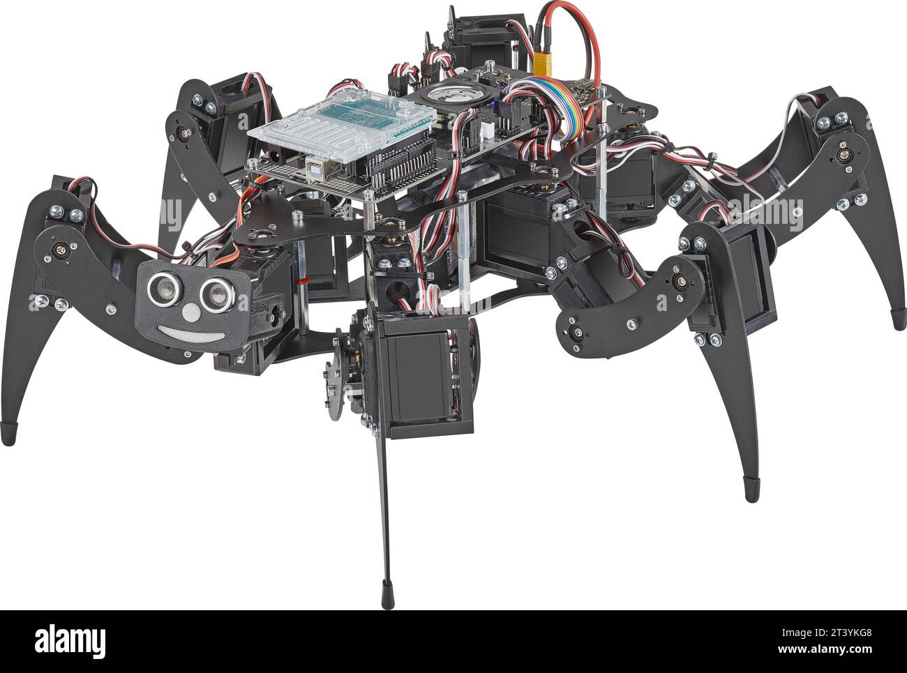 Bug futuriste de robot contrôlé par ordinateur Banque D'Images