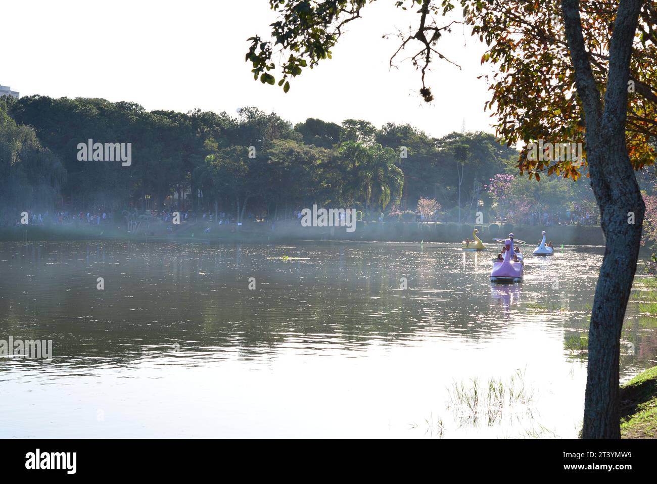 Pédalo ou aviron sur le lac à Lago avec grande roue en arrière-plan avec drapeaux brésiliens, panoramique, sélectif foyer Banque D'Images