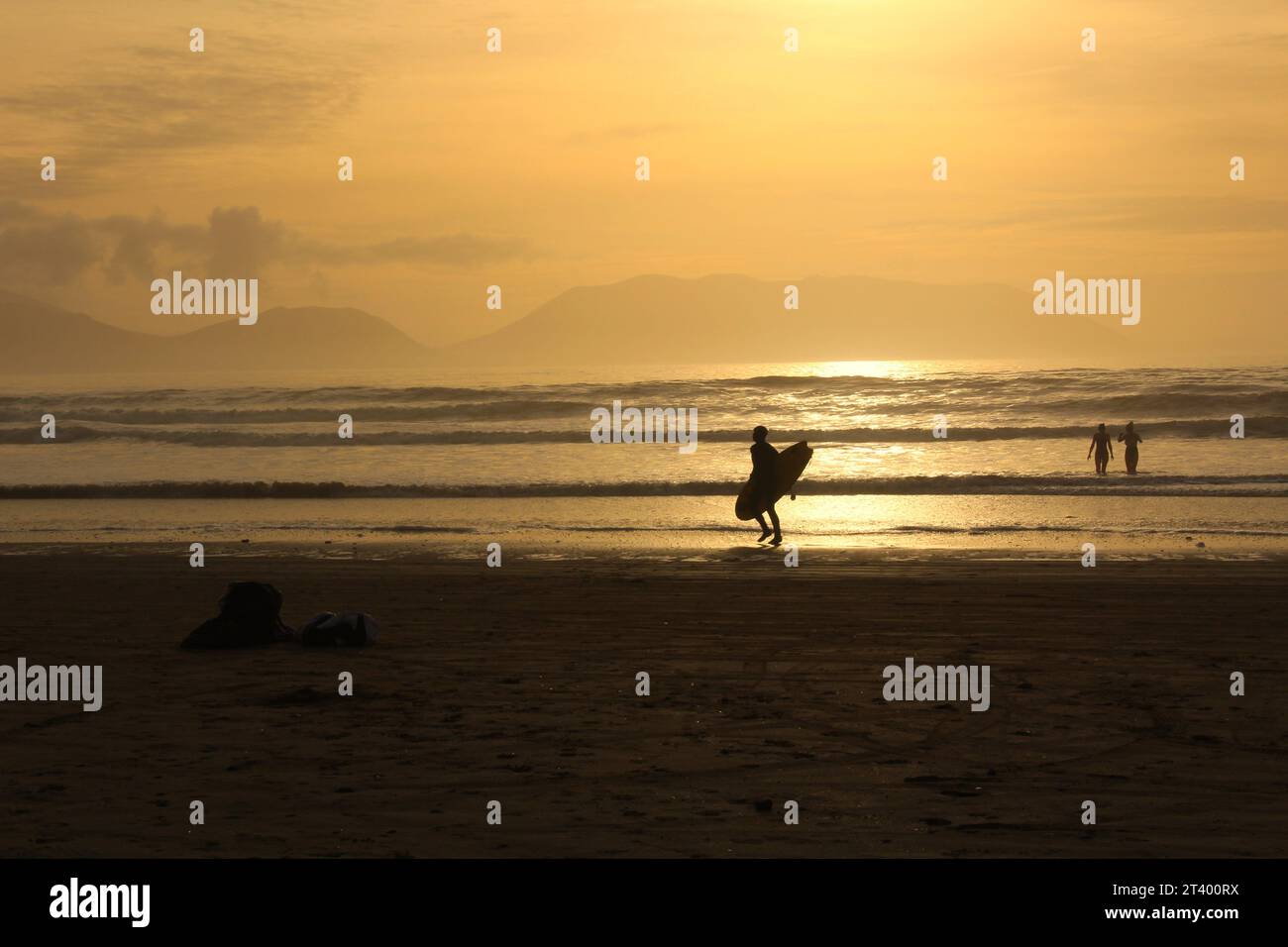Silhouette d'une personne surfant à la plage de pouce au coucher du soleil avec des nageurs dans l'eau - Dingle Peninsula, Kerry, Irlande. Concept pour la natation en eau froide Banque D'Images