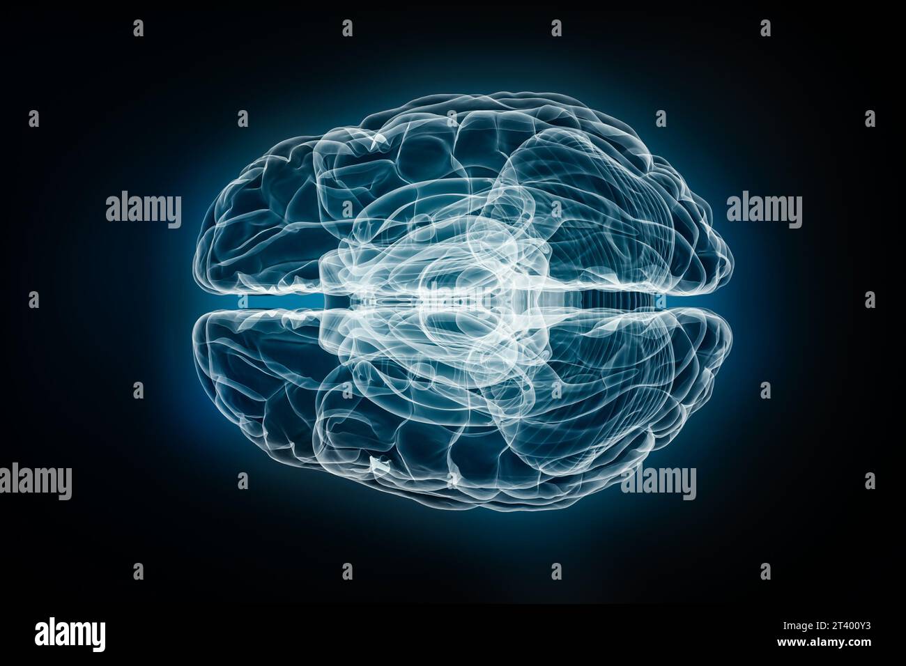 Vue de dessus ou de dessus des rayons X de l'illustration de rendu 3D du cerveau entier. Anatomie du corps humain et du système nerveux, médecine, soins de santé, biologie, science, Banque D'Images
