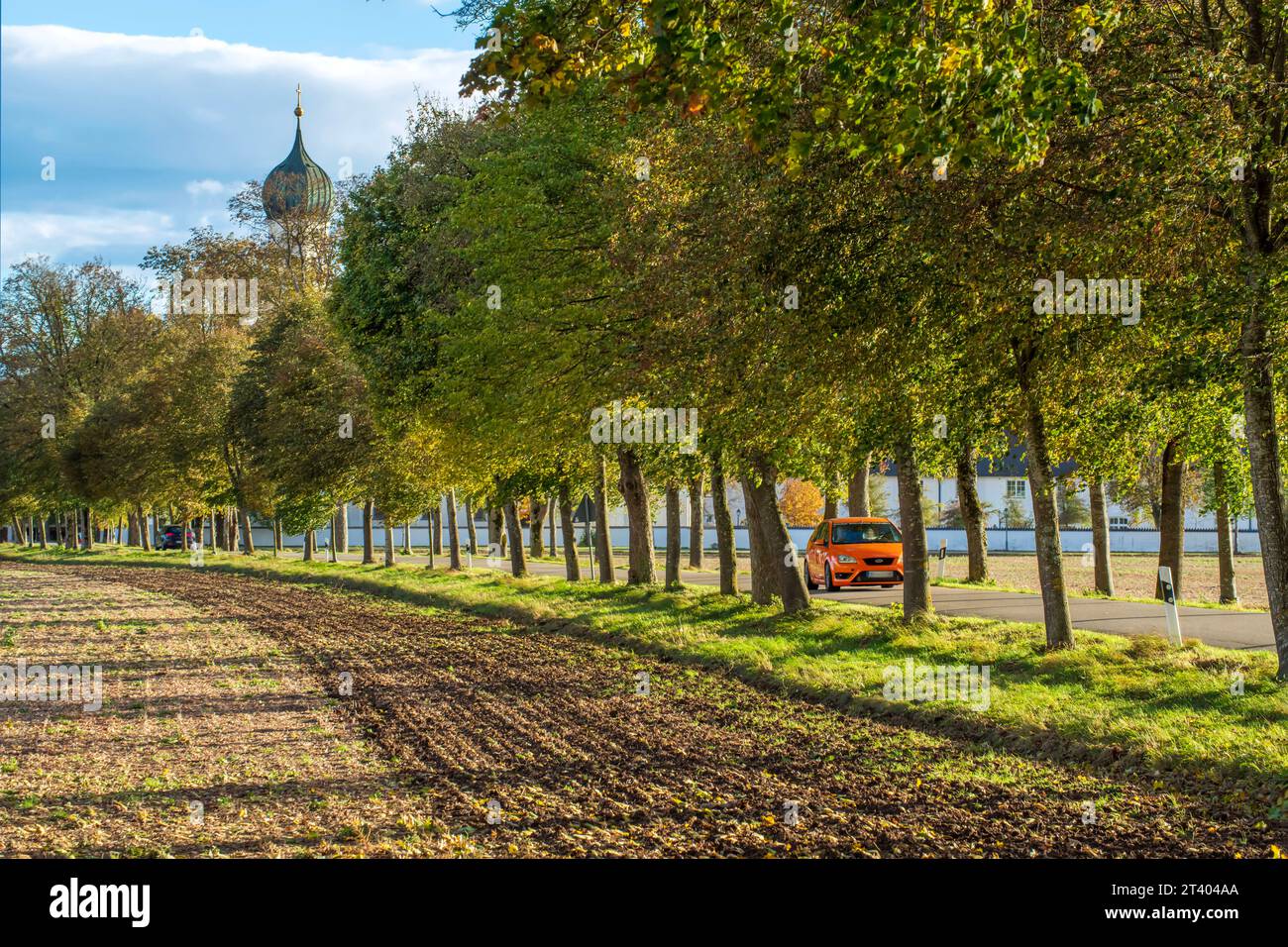 Herbstliche Allee BEI Grasbrunn, typisch bayerischer Kirchturm, sonniges Herbstwetter, Nähe München, Oktober 2023 Deutschland Grasbrunn BEI München, Oktober 2023, Herbstlich verfärbte Allee, typisch bayerischer Kirchturm, Straße beidseitig mit alten Bäumen bestanden, schmale Landstraße, sonniges Herbstwetter, Autofahrer, Verkehr, Straßenverkehr, Landschaft, Bayern *** avenue automnale près de Grasbrunn, tour typique de l'église bavaroise, temps ensoleillé d'automne, près de Munich, octobre 2023 Allemagne, Grasbrunn près de Munich, octobre 2023, avenue colorée automnale, tour typique de l'église bavaroise, route sur les deux si Banque D'Images