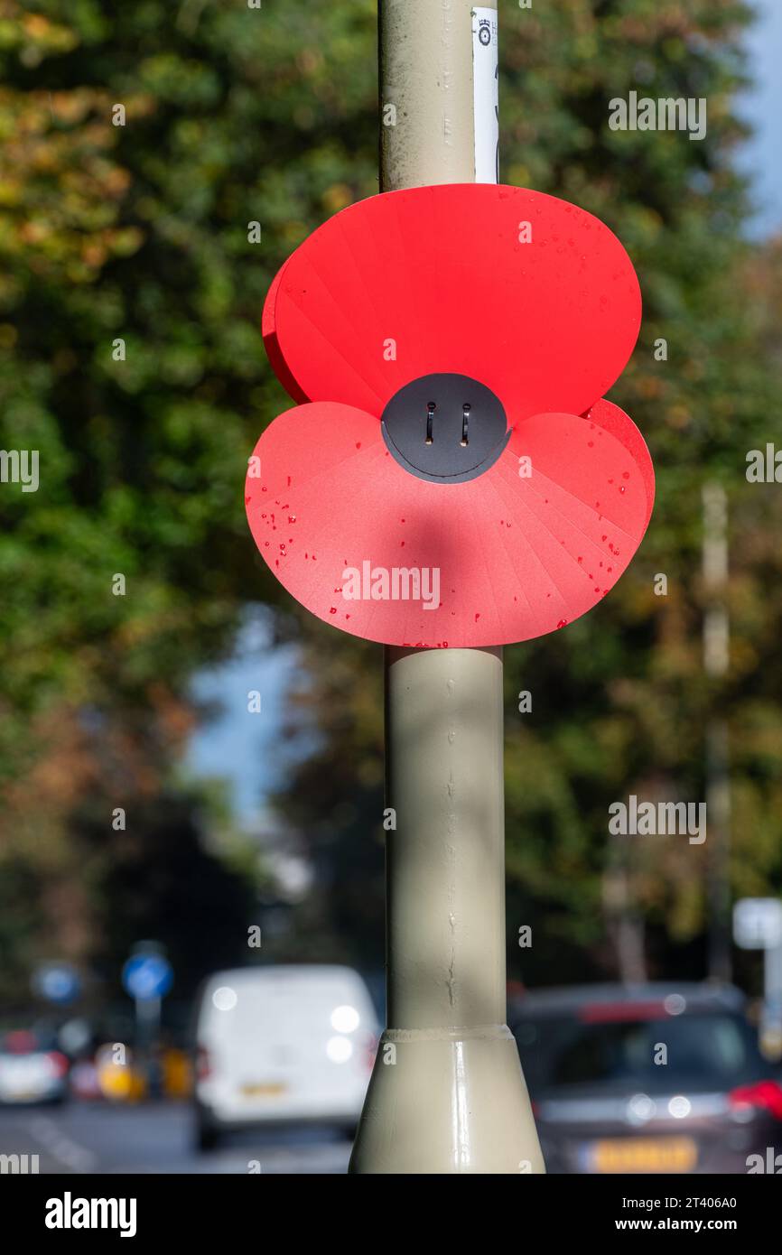 Décoration de coquelicot du jour du souvenir sur lampadaire, commémorant le jour de l'armistice, automne 2023, Farnborough, Hampshire, Angleterre, Royaume-Uni Banque D'Images