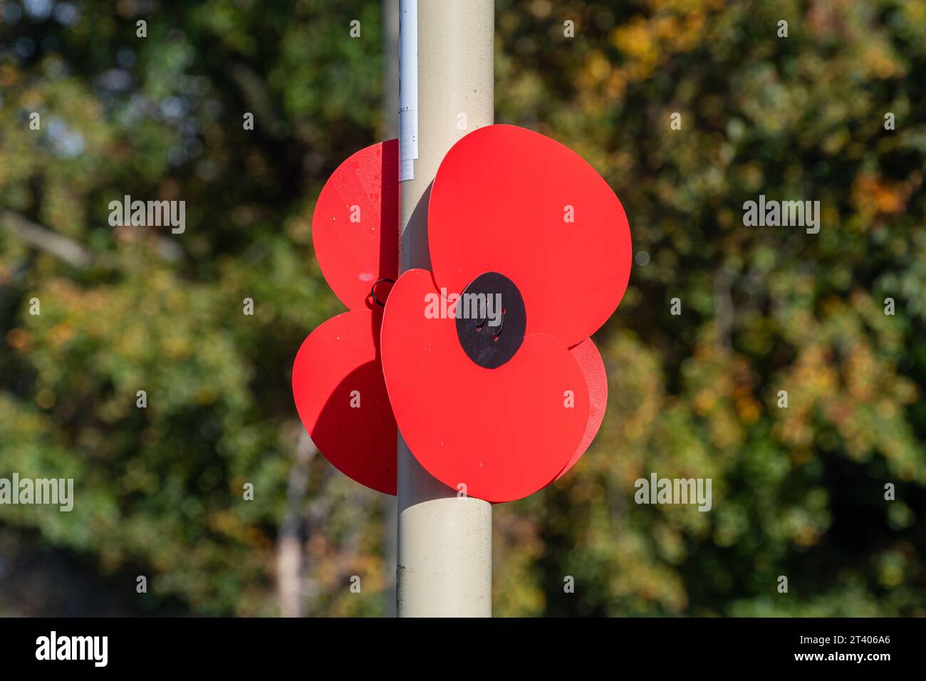 Décoration de coquelicot du jour du souvenir sur lampadaire, commémorant le jour de l'armistice, automne 2023, Farnborough, Hampshire, Angleterre, Royaume-Uni Banque D'Images
