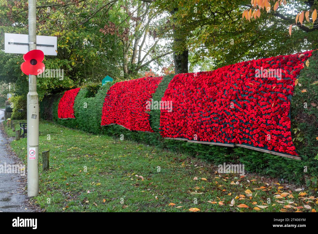 Décorations du jour du souvenir, pour le jour du coquelicot, automne 2023, cascade de coquelicots dans le village de Hook dans le Hampshire, Angleterre, Royaume-Uni Banque D'Images