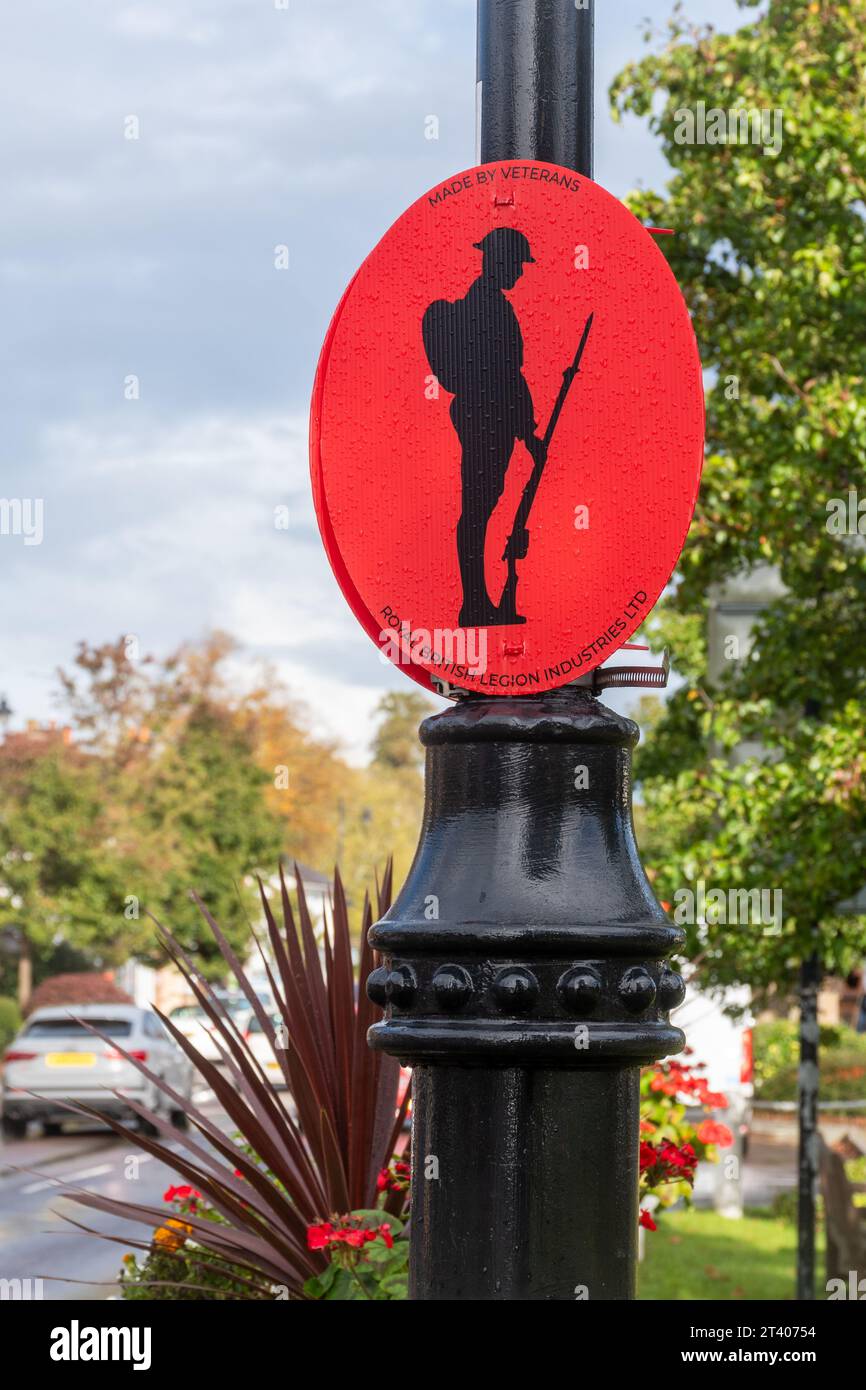 Décoration du jour du souvenir (jour du coquelicot) sur lampadaire, commémorant le jour de l'armistice, automne 2023, Hartley Wintney, Angleterre, ROYAUME-UNI Banque D'Images