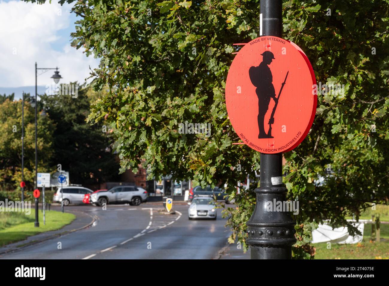 Décoration du jour du souvenir (jour du coquelicot) sur lampadaire, commémorant le jour de l'armistice, automne 2023, Hartley Wintney, Angleterre, ROYAUME-UNI Banque D'Images