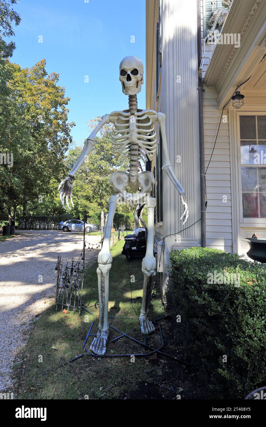 Squelette géant long Island NY Banque D'Images