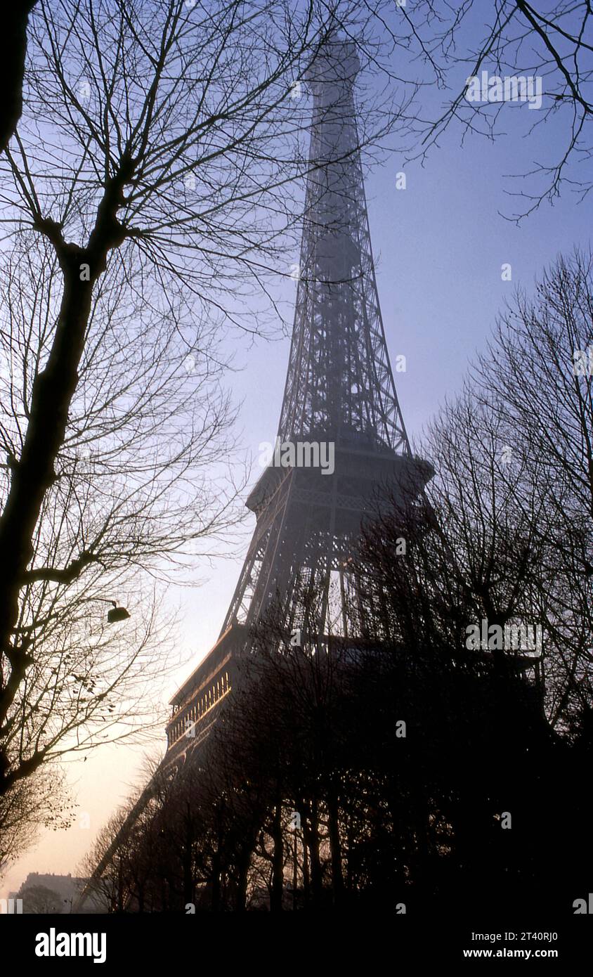 Tour Eiffel avec arbres, paires, France Banque D'Images