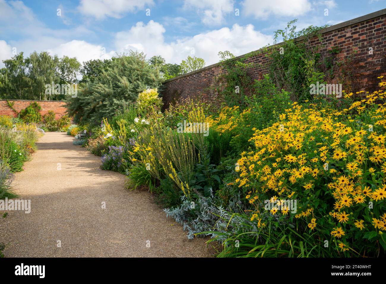 Bordure herbacée dans le jardin clos de RHS Bridgewater, Worsley, Manchester, Angleterre. Banque D'Images