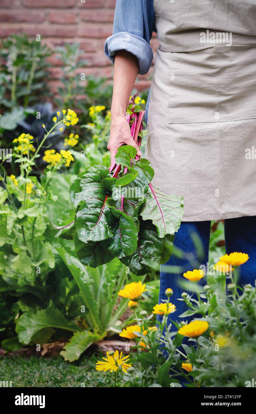 Une jeune femme tenant un bouquet de feuilles de betterave dans un jardin urbain avec des fleurs. Banque D'Images