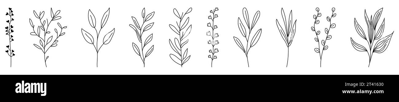 Éléments sauvages floraux dessinés à la main dans le style d'art de ligne. Peut utiliser pour la décoration, logo, tatouage, invitation de mariage et etc Illustration vectorielle Illustration de Vecteur