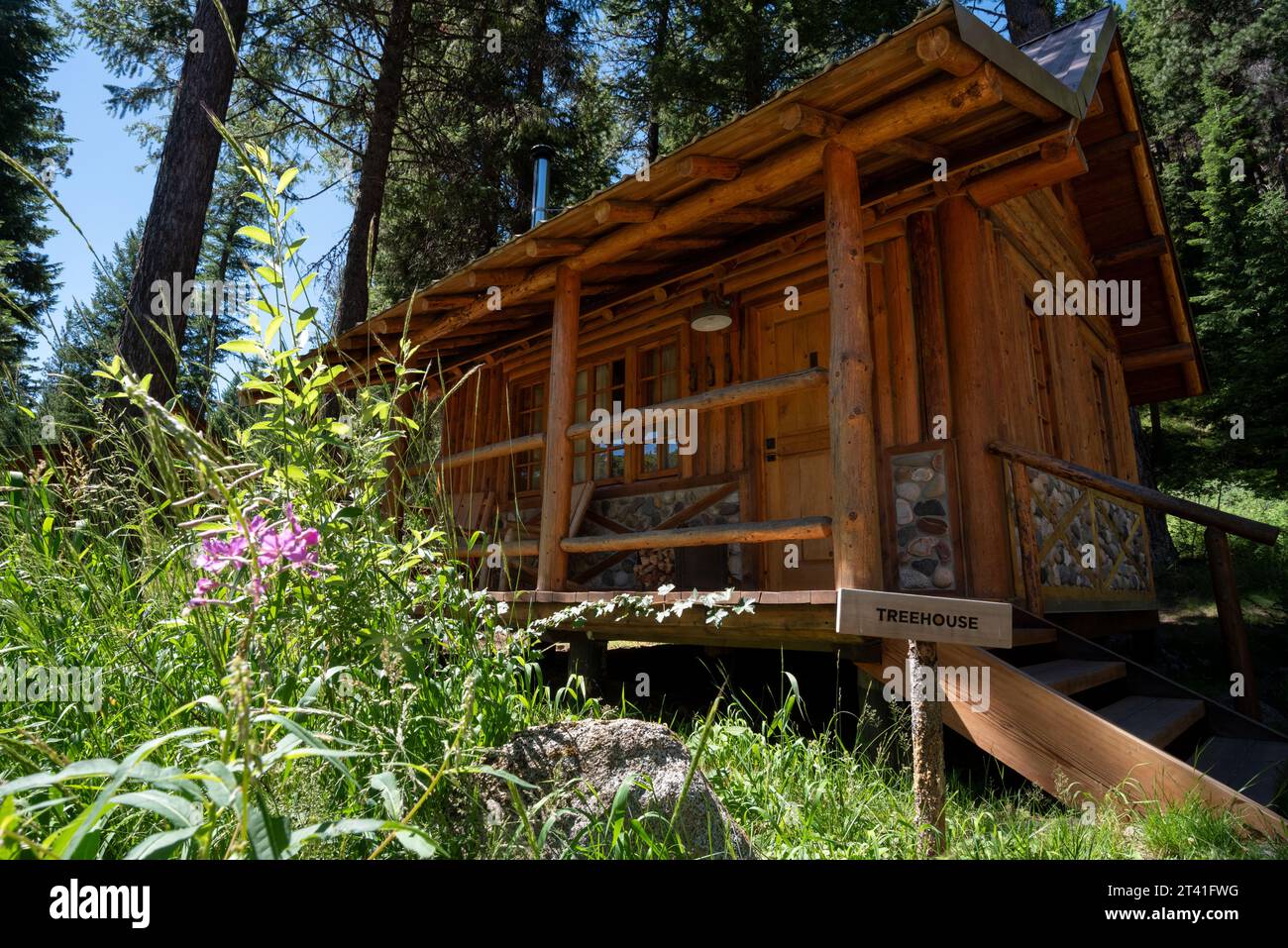 Cabane Treehouse au Minam River Lodge, Oregon. Banque D'Images