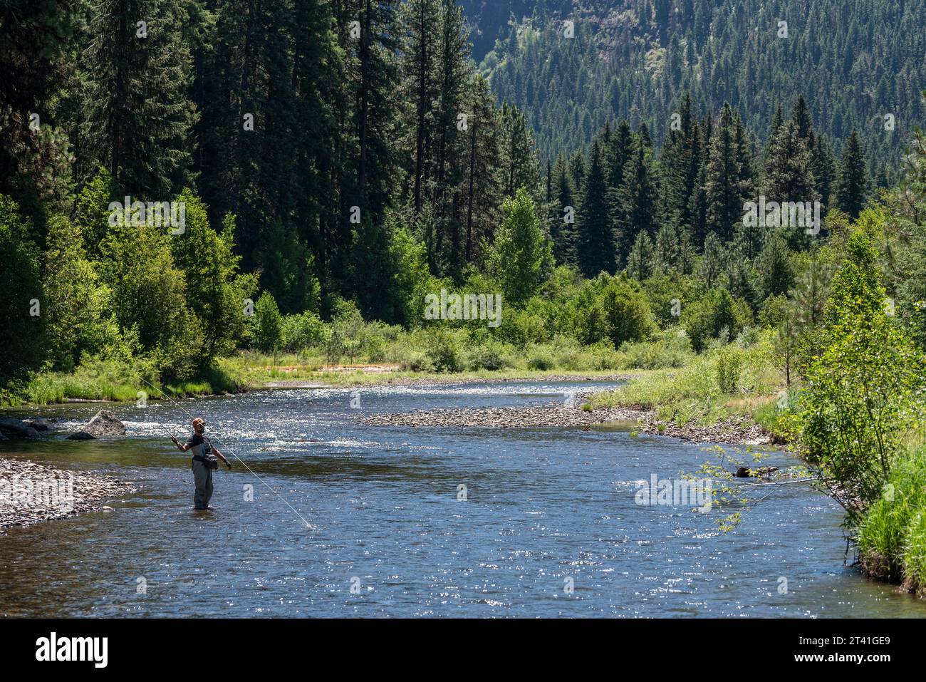 Pêche à la mouche sur la rivière Minam Wild & Scenic, dans les montagnes Wallowa, Oregon. Banque D'Images