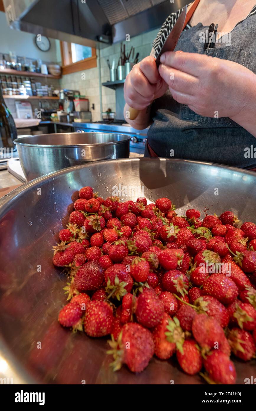 Chef cuisinier coupant des fraises fraîches au Minam River Lodge, Oregon. Banque D'Images