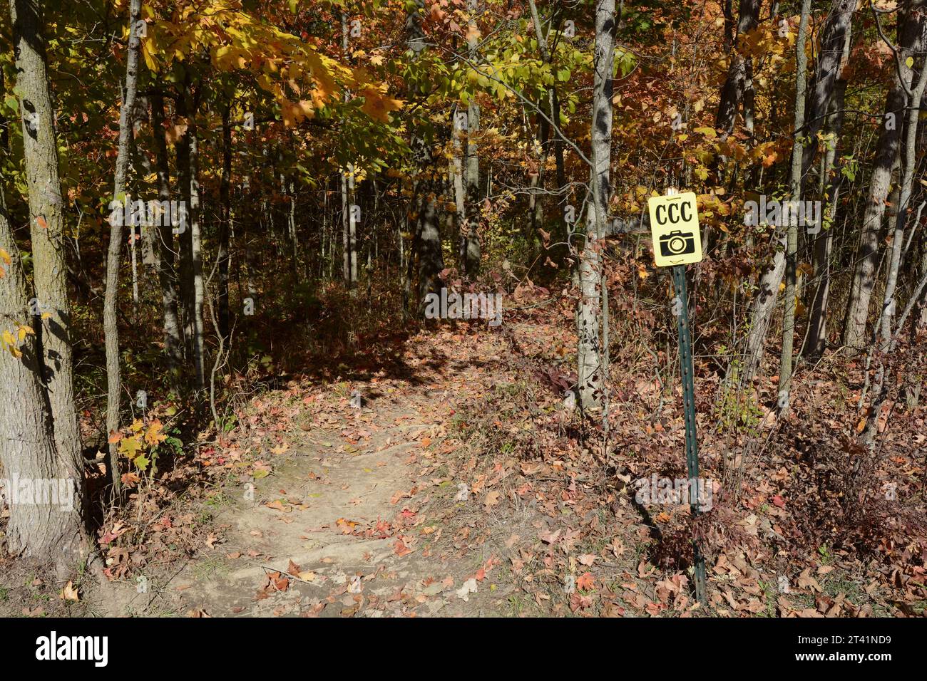 Sentier menant les visiteurs à une ancienne fondation en ciment construite par le Civilian conservation corps dans les années 1930 au parc d'État de Ouabache dans l'Indiana. Banque D'Images