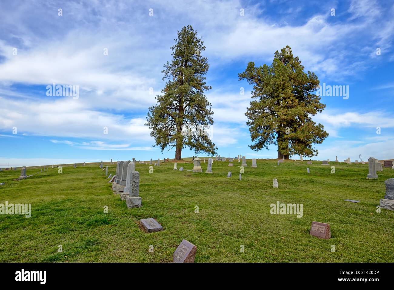 Deux grands pins se dressent comme sentinelles au-dessus du cimetière près de Moscou, Idaho. Banque D'Images