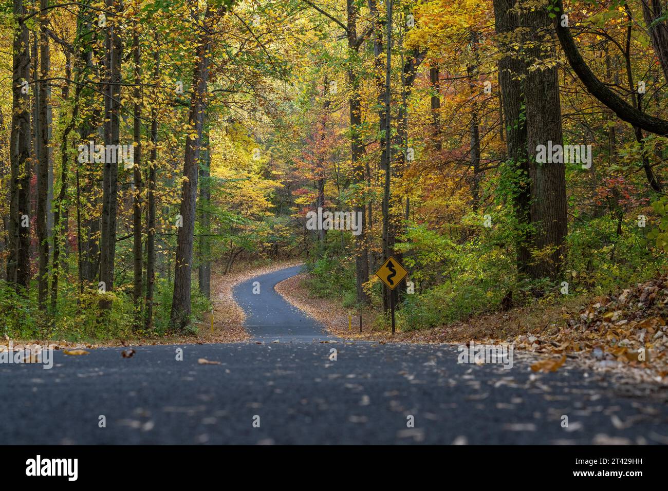 Valley Forge, PA USA 27th, Oct. 2023 - beau temps d'automne dans le parc national de Valley Forge dans la région mi-atlantique des États-Unis avec des couleurs d'automne culminant. Crédit : Don Mennig / Alamy News Banque D'Images