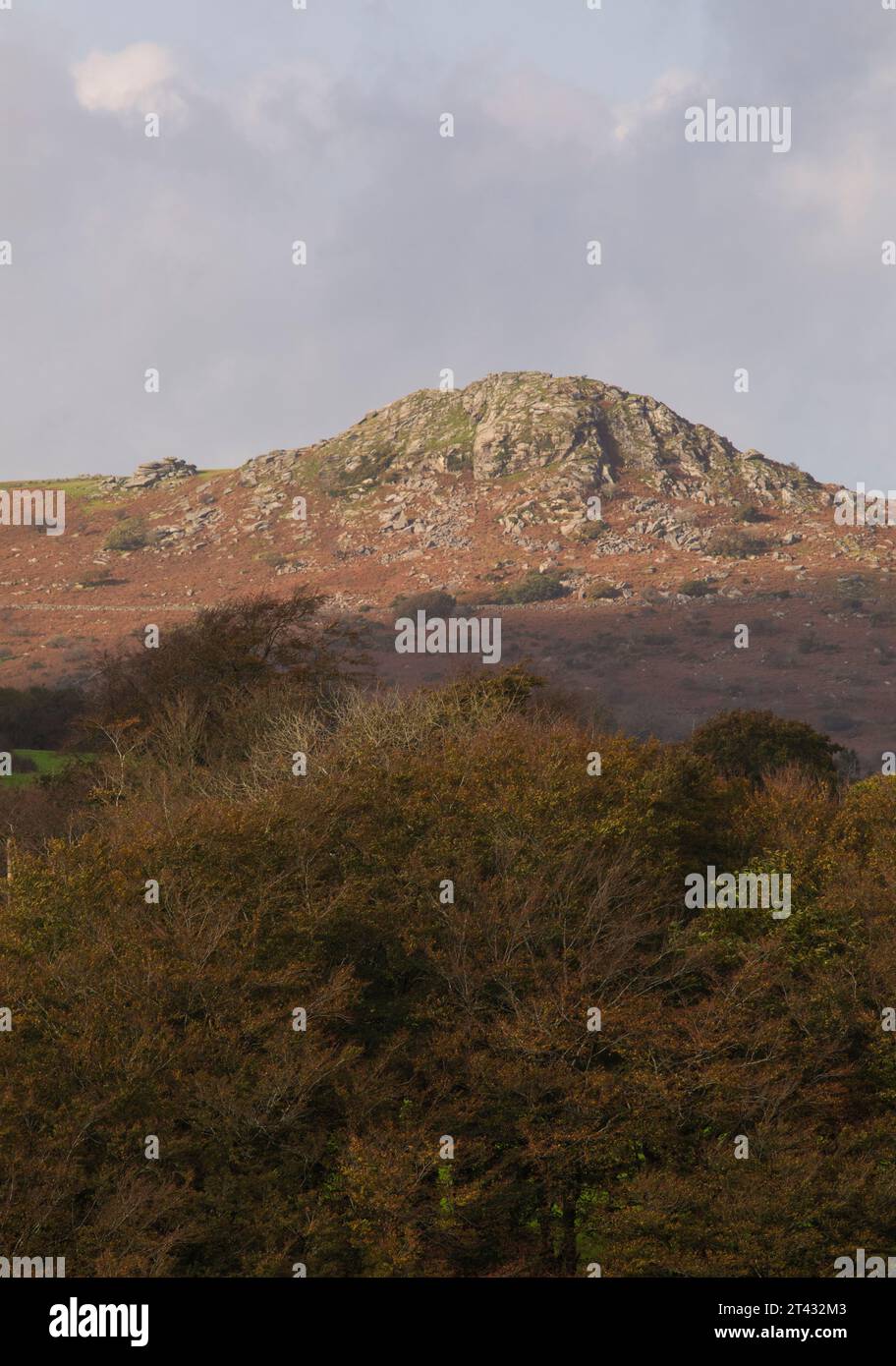 Sharptor Bodmin Moor Banque D'Images