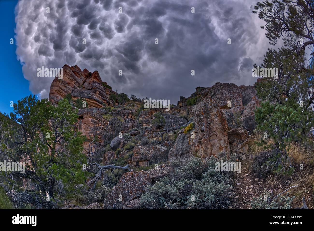 Nuage de tempête sinistre approchant Lipan point, South Rim, Parc national du Grand Canyon, Arizona, États-Unis Banque D'Images