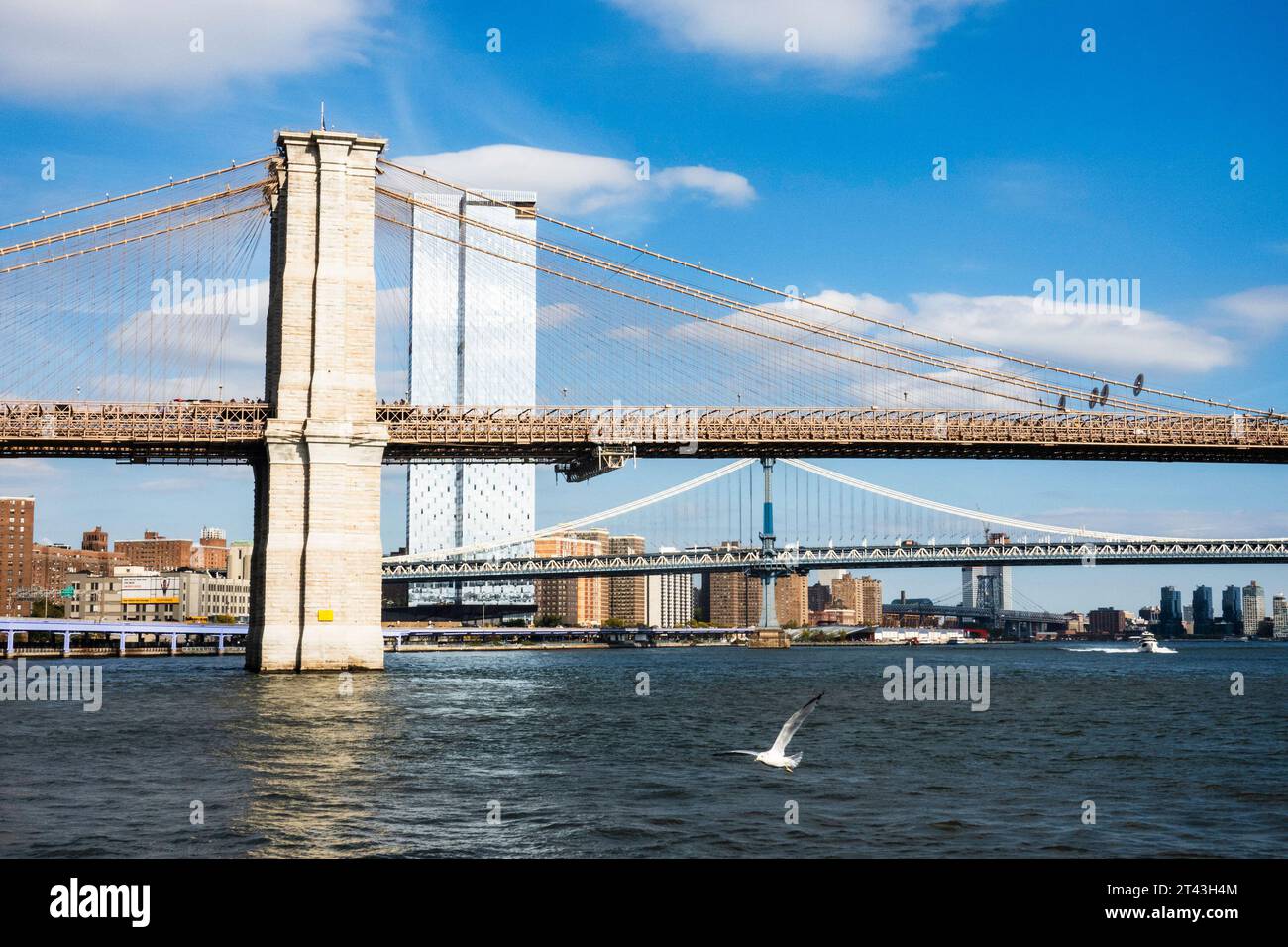 One Manhattan Square condominiums et le pont de Brooklyn vu de South St., Seaport, 2023, New York City, États-Unis Banque D'Images