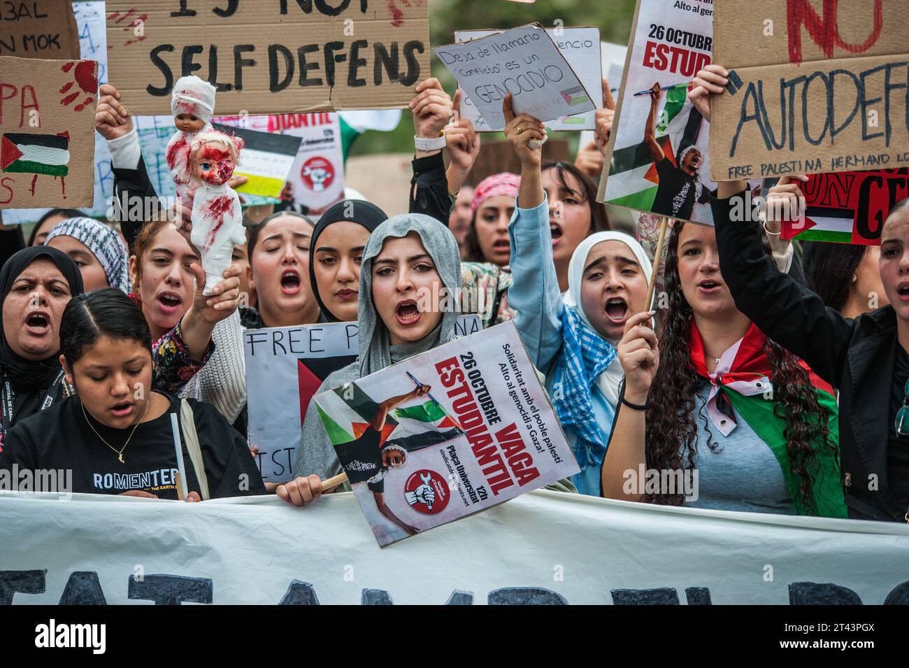 Les manifestants chantent des slogans tout en tenant des pancartes exprimant leurs opinions pendant la manifestation. L'Union des étudiants a organisé une journée de grève et de manifestation dans diverses villes espagnoles pour soutenir la cause palestinienne et contre la guerre à Gaza. Les manifestations se sont déroulées sans incidents et sous les slogans "ce n'est pas une guerre, c'est un génocide" et "Arrêtez de vendre des armes à Israël". À Barcelone, entre deux et trois mille personnes se sont rassemblées avec des drapeaux et des banderoles palestiniens. "Free Free Palestine" et "Israel Murder" étaient les slogans les plus scandés Banque D'Images