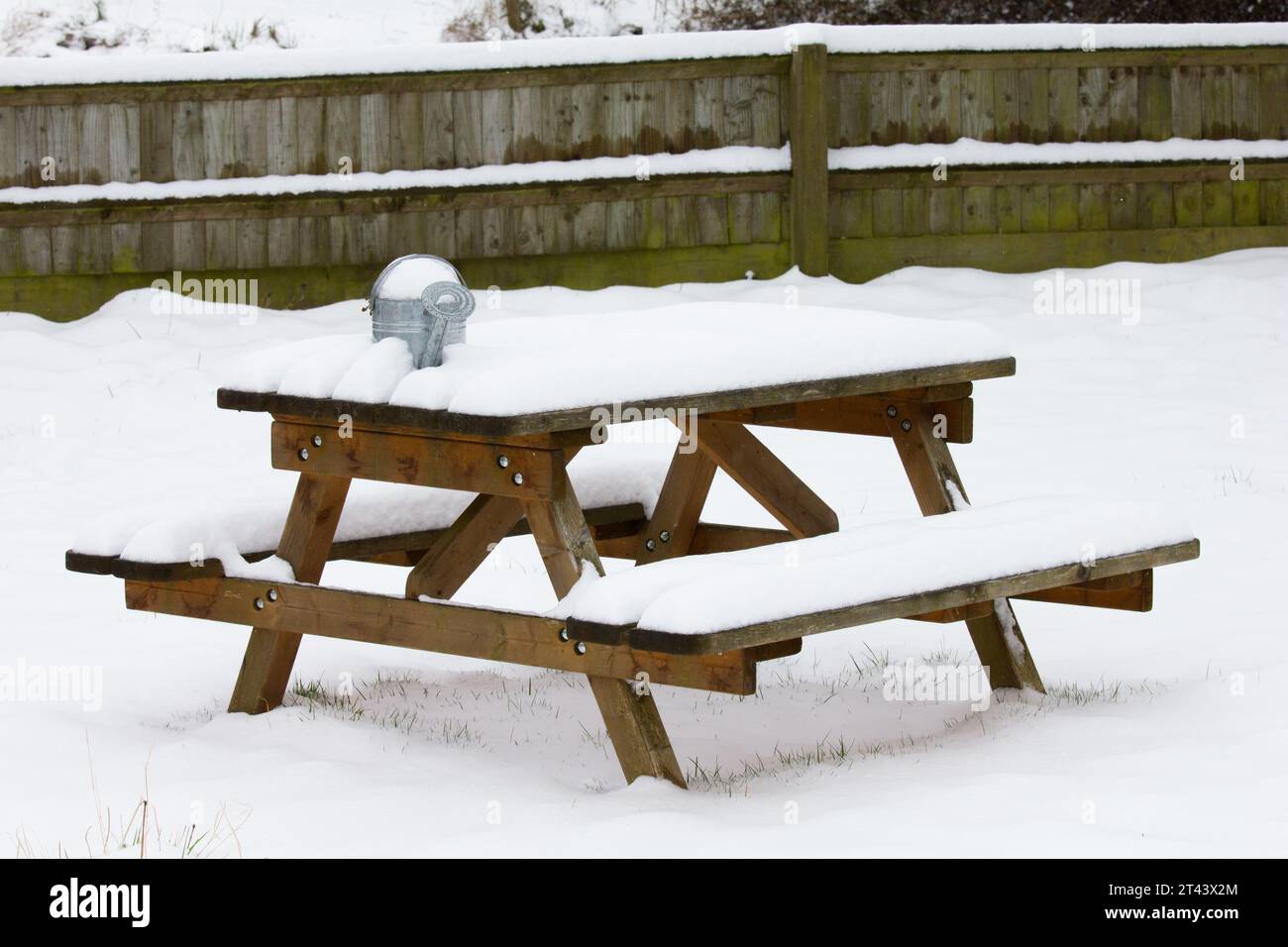 Arrosoir en émail sur banc enneigé. Arrosoir de jardin d'hiver. Banque D'Images