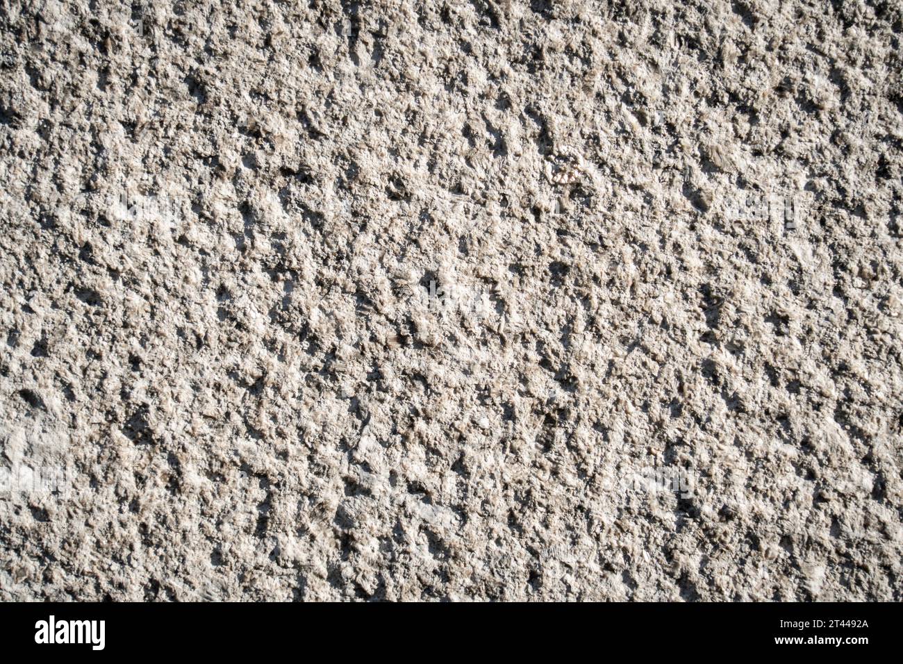 Gros plan d'un mur en béton texturé Banque D'Images