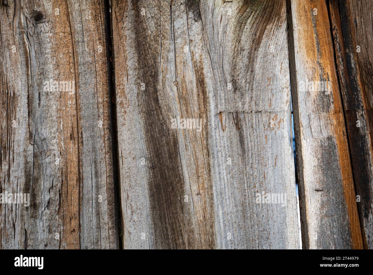 Gros plan de la texture rugueuse d'une clôture en bois Banque D'Images