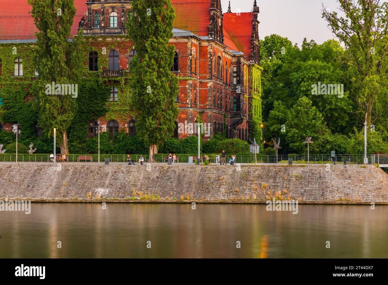 Wroclaw, Pologne - juin 25 2023 : Belle façade colorée du Musée National plein de lierre à côté de la promenade sur la rivière Odra à la belle dorée Banque D'Images