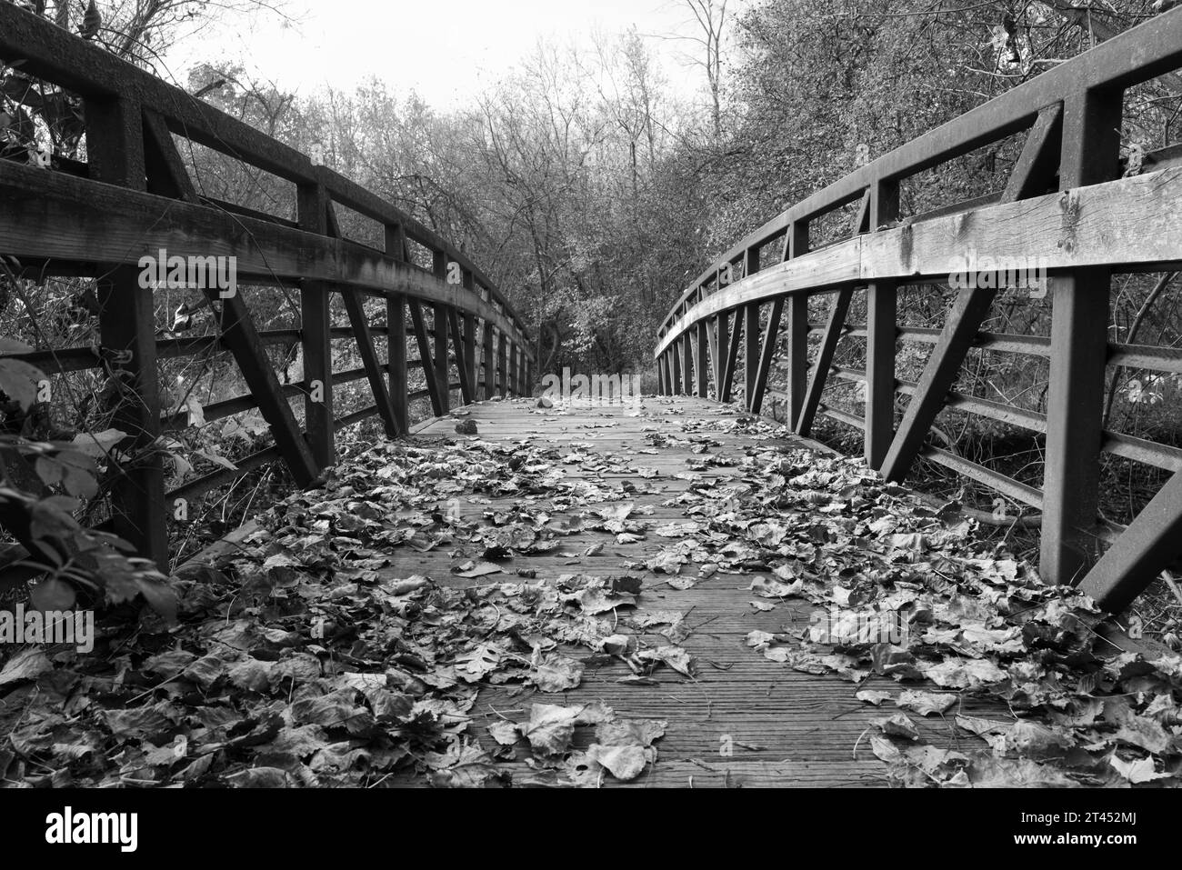 passerelle en bois avec feuilles tombées Banque D'Images passerelle en bois avec feuilles tombées Banque D'Images