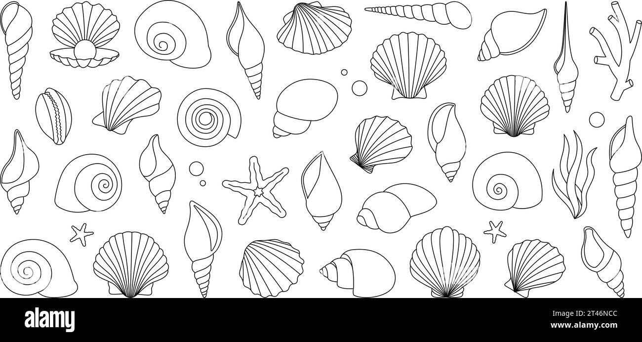 Ensemble de contours de coquillages marins. Coquillages tropicaux sous-marins. Algues d'eau douce, coraux, étoiles de mer, mollusques, pétoncle, perles. Illustration vectorielle. Illustration de Vecteur