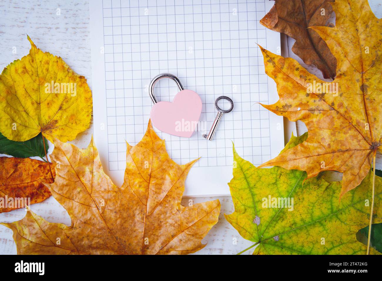 Message d'amour dans les feuilles d'automne. Nettoyez l'ordinateur portable et le verrou en forme de cœur sur fond blanc. CopySpace... Banque D'Images