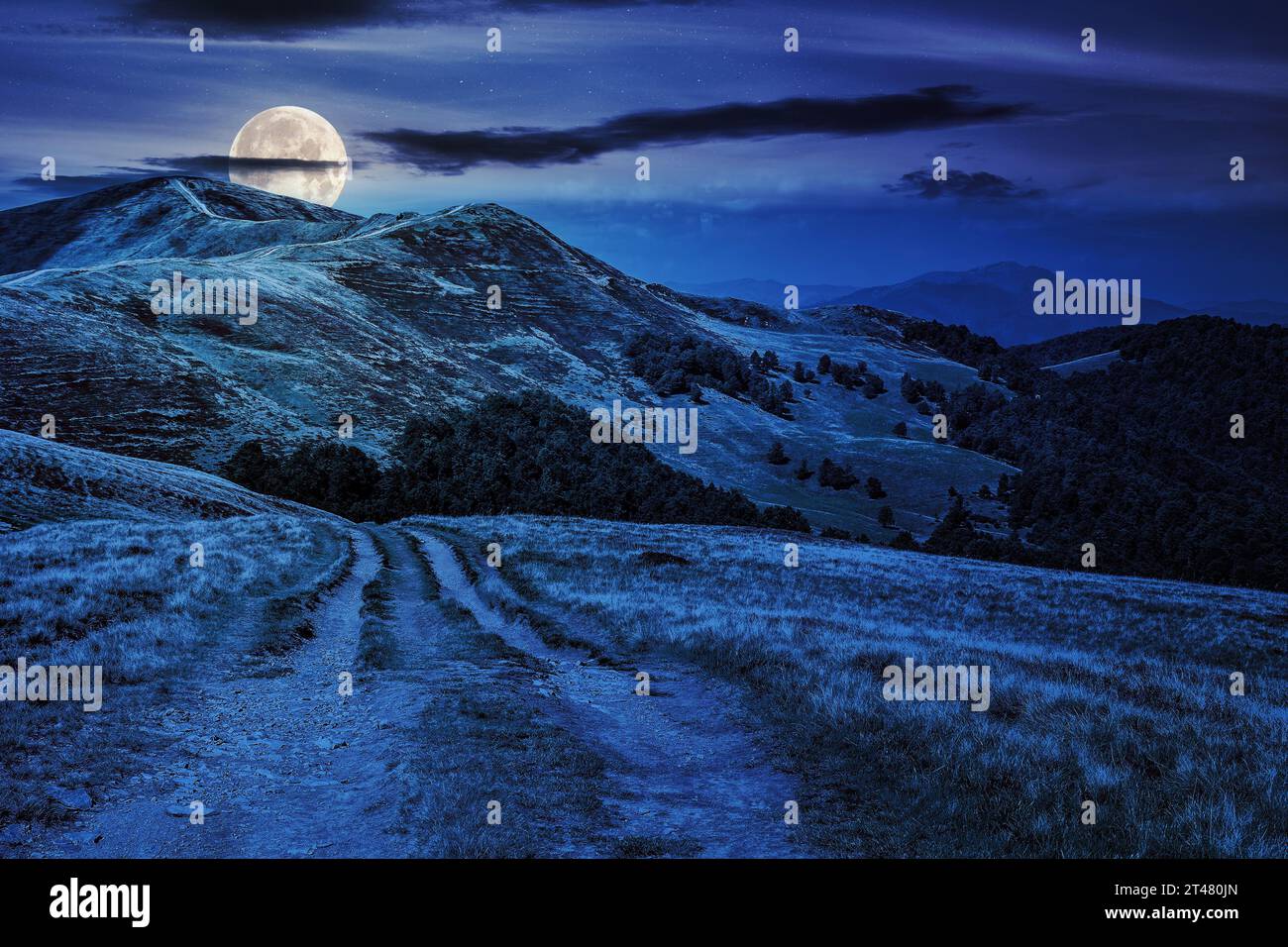route droite à travers de grandes prairies sur la colline de la chaîne de montagnes la nuit. magnifique paysage de campagne dans la lumière de pleine lune Banque D'Images