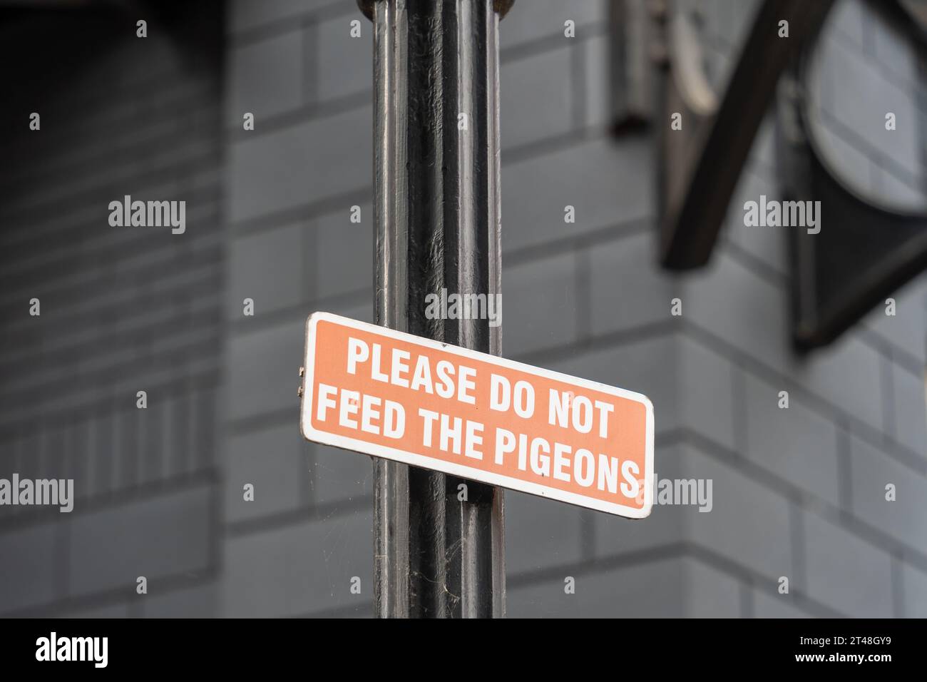 Un panneau dans une ville dit, s'il vous plaît ne pas nourrir les pigeons. Concept de lutte antiparasitaire urbaine. Banque D'Images