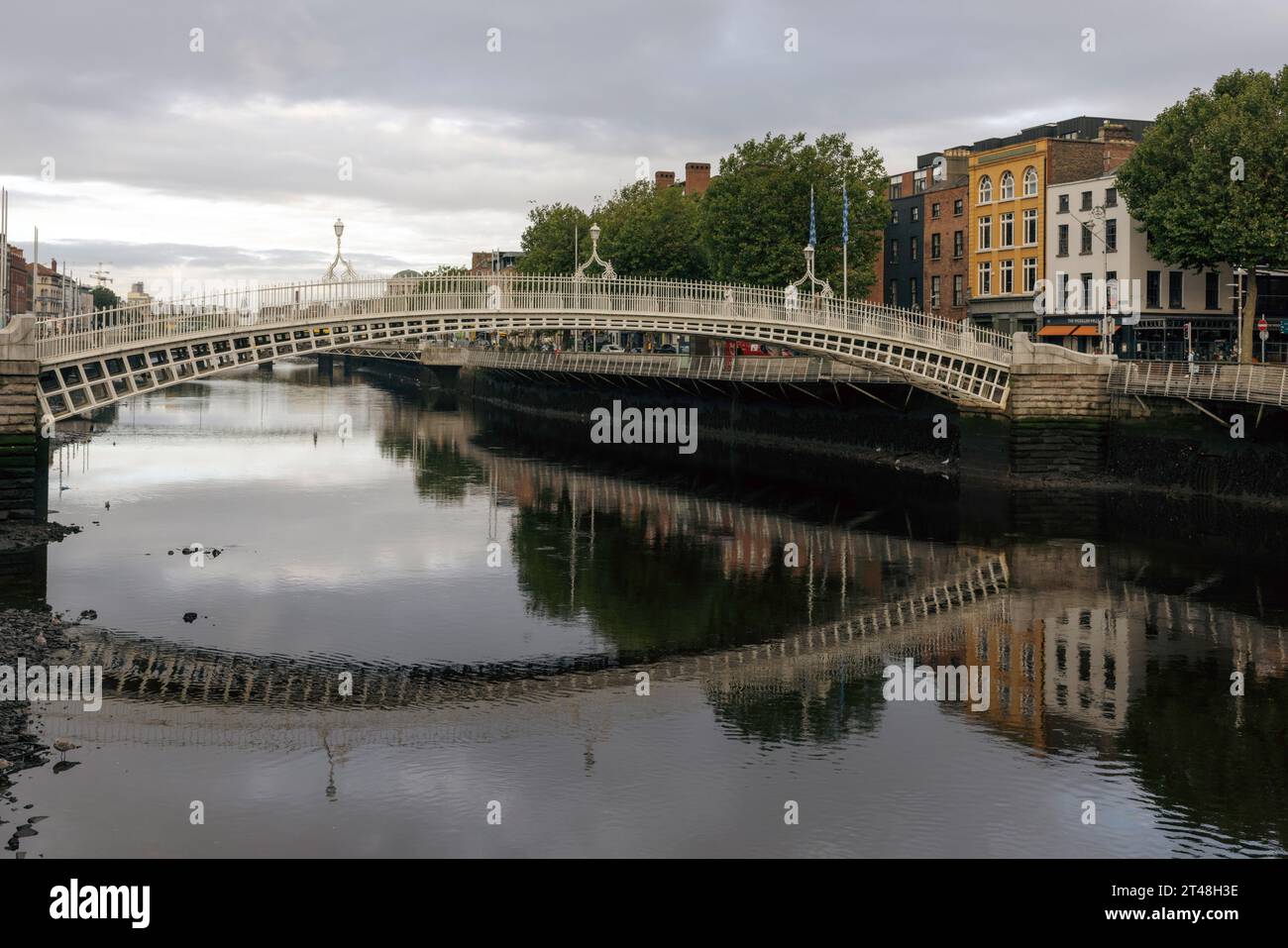 Ha'penny Bridge est un pont piétonnier sur la rivière Liffey à Dublin, en Irlande, connu pour son beau design en fonte et son statut emblématique. Banque D'Images