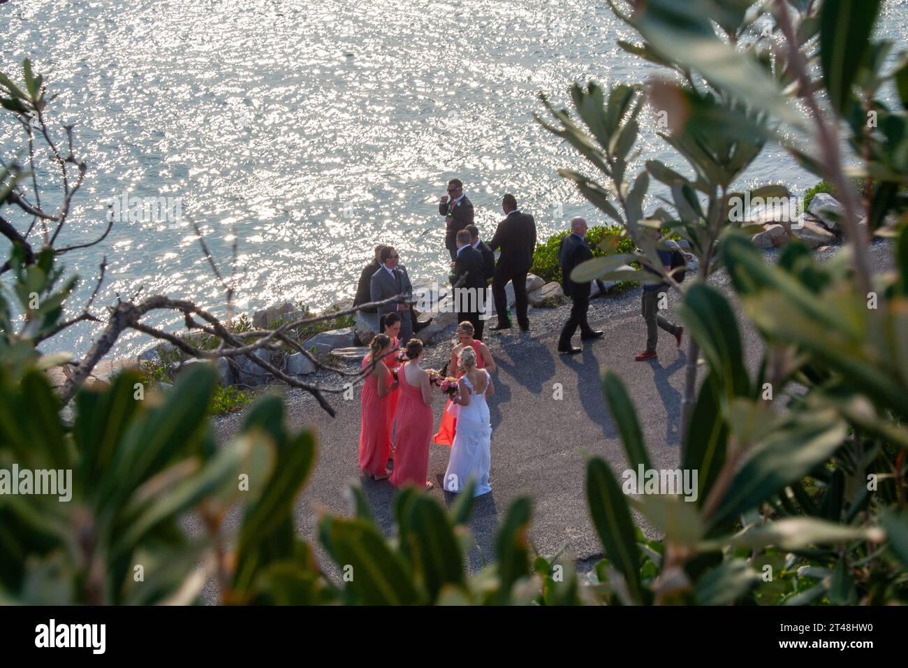 Une fête de mariage se réunit près du front de mer, Nouvelle-Galles du Sud Banque D'Images