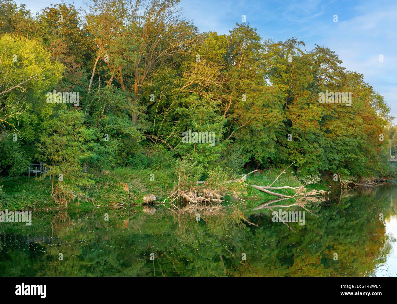 Rive verte sur le Danube à Ratisbonne, Haut-Palatinat, Bavière, Allemagne, Europe Banque D'Images