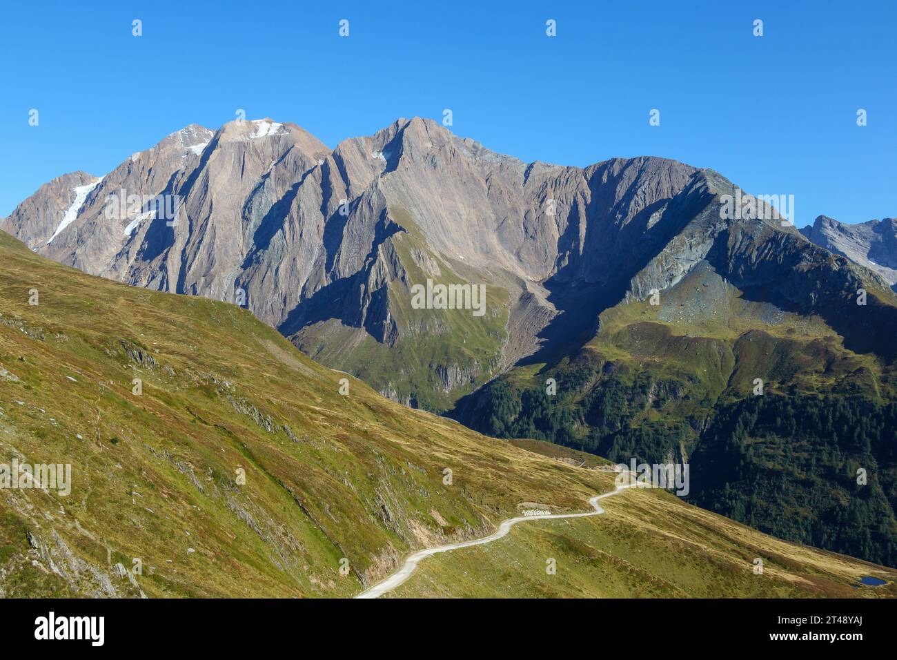 Vue sur Hochferner (Gran Vedretta), Hintere et Vordere Weißspitze, Rote Wand sommets. Alpes de Zillertal. Vue depuis Passo di Vizze. Italie. Banque D'Images