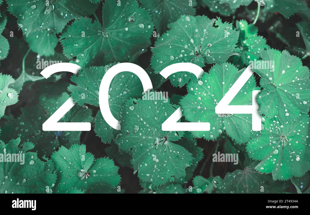 2024 texte blanc du nouvel an caché dans des feuilles vertes naturelles. Banque D'Images