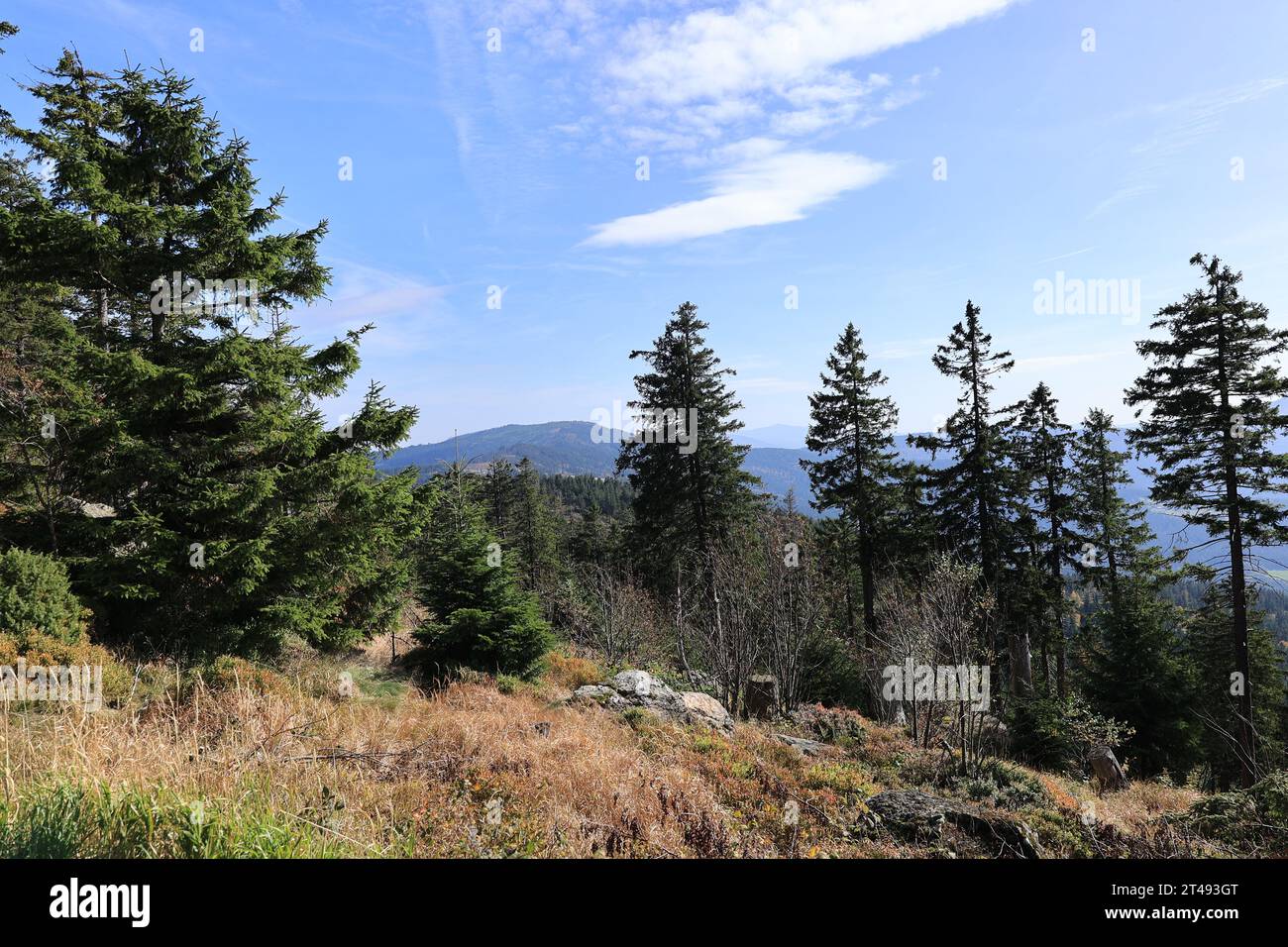 Wanderung auf den kleinen und den großen Osser Banque D'Images